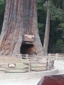 Chandelier Tree