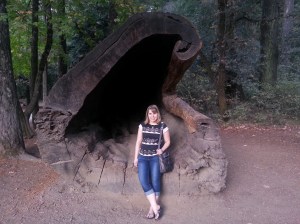 Me and a big Redwood Tree